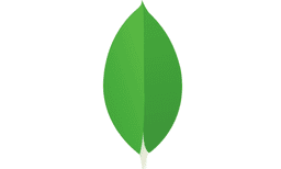 MongoDB
